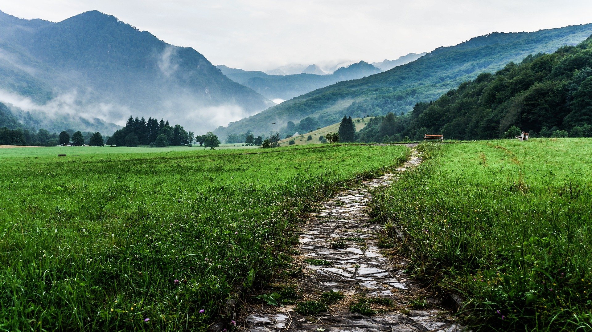 A vibrant landscape with a winding path and misty mountains